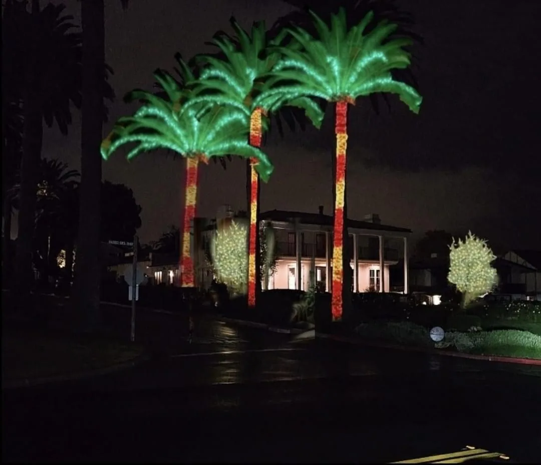 Palm-lined property wrapped in lights for an outdoor event by Bee Merry