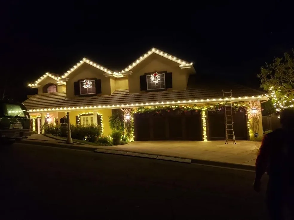 Professional Bee Merry Christmas Lights Installation